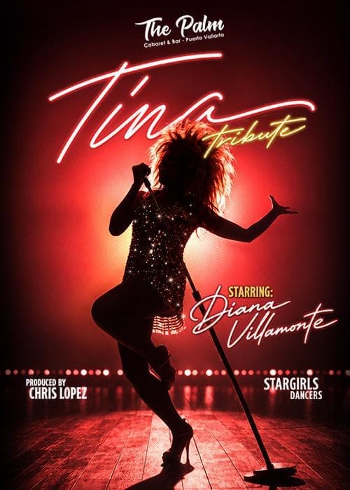 TINA: THE TRIBUTE STARRING DIANA VILLAMONTE